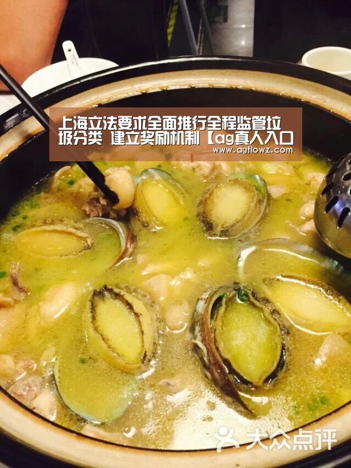上海立法要求全面推行全程监管垃圾分类 建立奖励机制【ag真人入口】(图2) ag真人入口