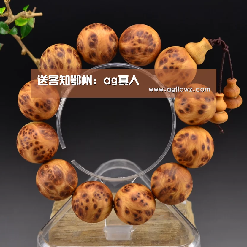 AG全站