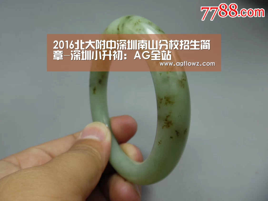 AG全站