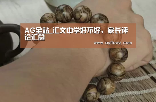 AG全站_汇文中学好不好,家长评论汇总(图3) ag真人